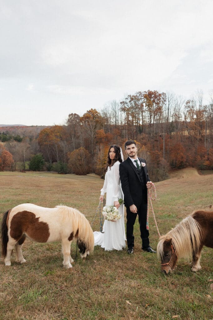 A bride and groom standing with mini ponies during portrait time at Lovingston Winery in Charlottesville, Virginia.