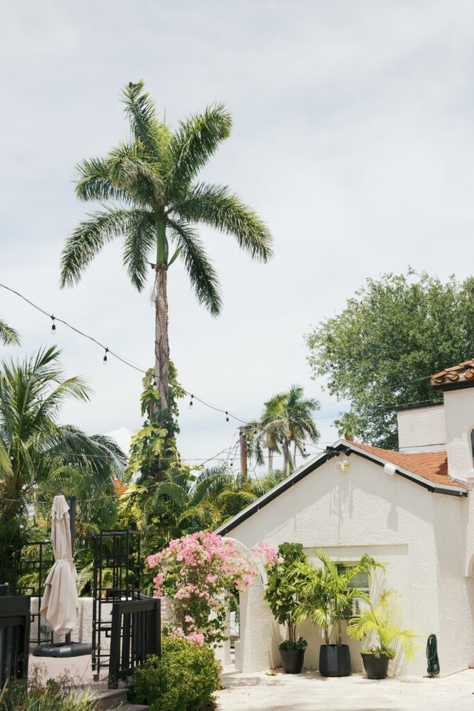 Palm tree at the Destination Alderman House Venue in Florida