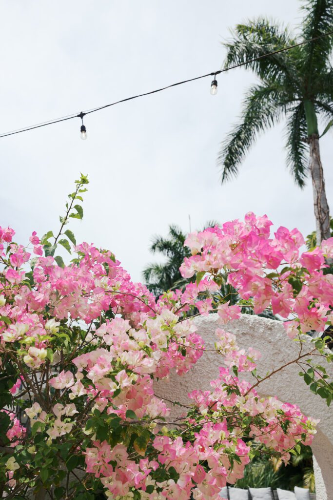 Colorful pink wedding flowers at a venue in florida- photographed by a destination wedding photographer from Virginia 